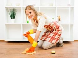 dulwich house cleaning se21